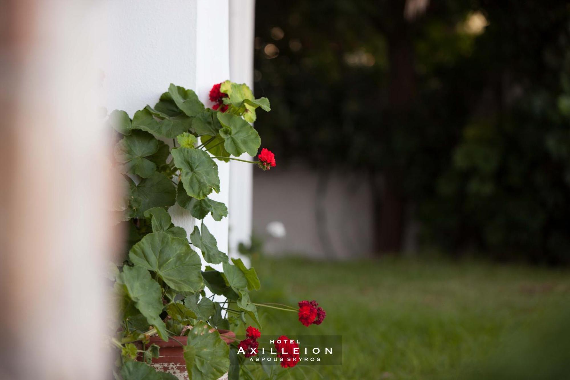Achilleion Hotel Skyros Exterior foto