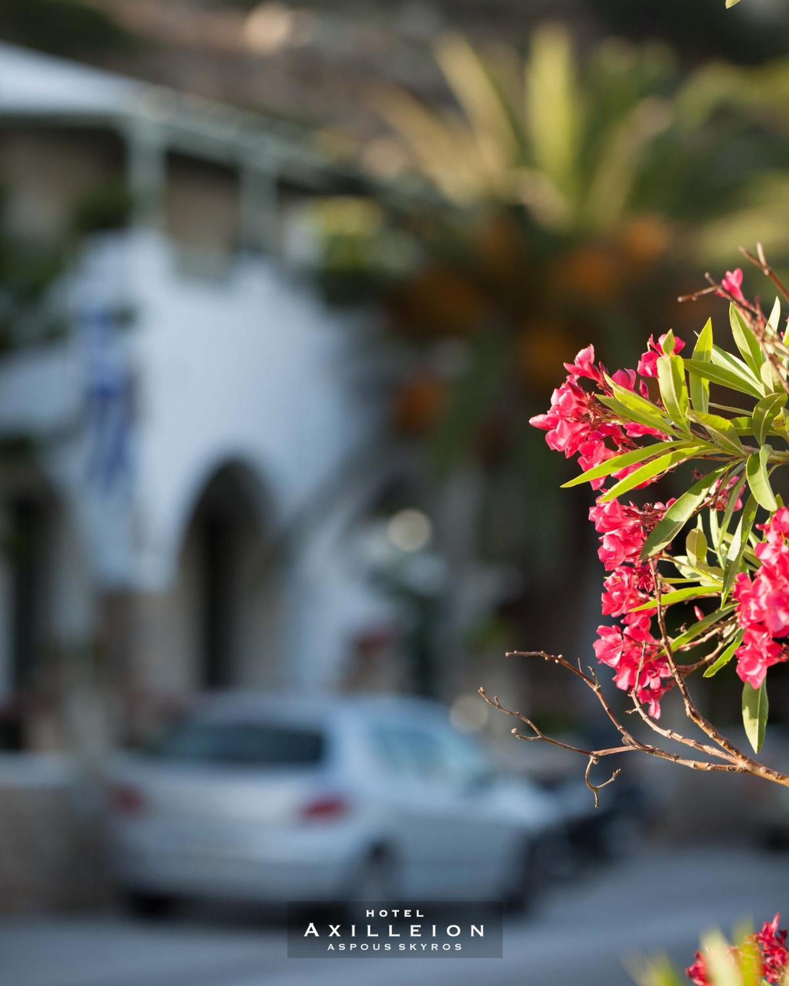 Achilleion Hotel Skyros Exterior foto